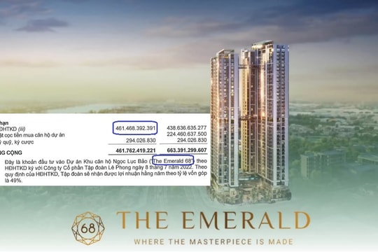 ‘Tổng thầu’ Coteccons đã rót bao nhiêu tiền vào The Emerald 68 - dự án từng bị khuyến cáo chưa đủ điều kiện chuyển nhượng?
