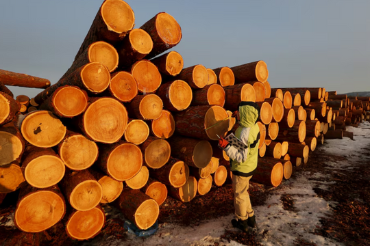 Mỹ vừa chi gần 3 tỷ USD săn lùng ‘cây quý’ từ Việt Nam: Hơn 120 thị trường mua hàng, nước ta là ông lớn đứng thứ 5 thế giới