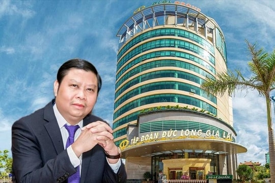 Sắc tím nhuộm phố núi và mối quan hệ mật thiết giữa Alpha Seven (DL1) - Đức Long Gia Lai (DLG)