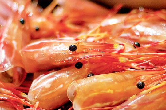 Tưởng bổ lại hại: Sự thật về vỏ tôm và cách ăn tôm an toàn cho cả nhà