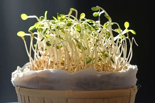 Loại rau "nhỏ xíu" nhưng lại làm hại gan hơn cả rượu bia: Đọc ngay để "né"