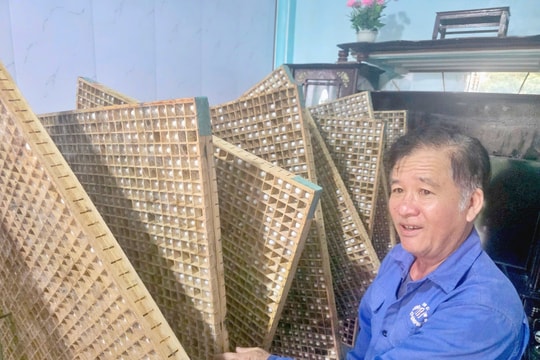 Nông dân Nghệ An lắp điều hòa nuôi thứ “nhỏ mà có võ”, hơn chục ngày đã có thể bán, thu về chục triệu đồng/vụ