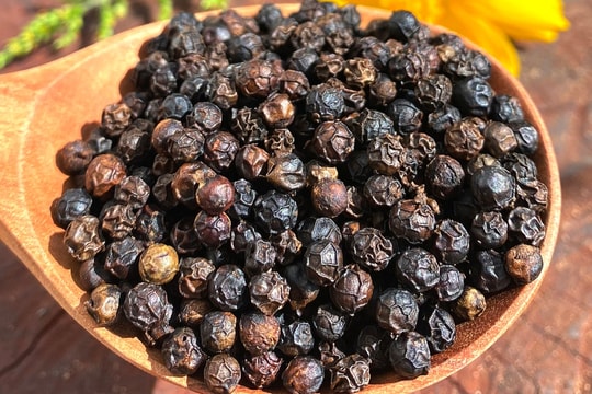 Giá tiêu hôm nay 9/5: Cả thị trường im lặng, chỉ Indonesia bất ngờ “vung kéo” giảm sâu