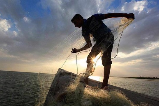 Tìm lý do cho sự bền bỉ của khối ngoại tại VIC