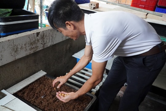 Nông dân Tây Nguyên lãi nửa tỷ mỗi tháng nhờ nuôi thứ “ai nhìn cũng lắc đầu” nhưng bán cực đắt