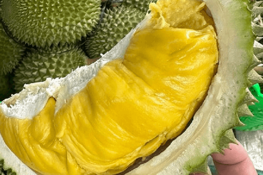 Giá sầu riêng hôm nay 12/5: Ri6 tiếp tục nhích nhẹ, Trung Quốc siết kiểm soát phụ gia