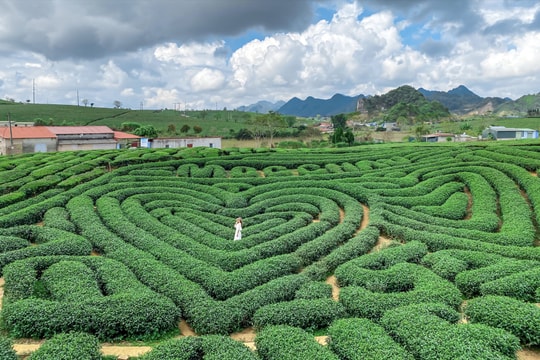 Mộc Châu 2 ngày 1 đêm: Đủ để thấy đất Việt đẹp đến nao lòng, đủ để mong ngày trở lại