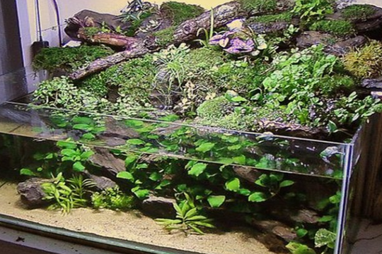 6 lỗi nhỏ âm thầm "nuốt" hết tài lộc mà 9/10 người Việt đều mắc phải