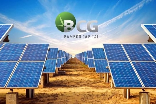 Nhà đầu tư nên làm gì khi cổ phiếu họ Bamboo Capital đang vào sóng lớn?