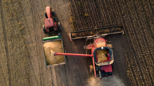 Vừa điều chỉnh thuế quan với Trung Quốc, một loại nông sản của Mỹ vẫn bị Brazil 'đe dọa': Lợi thế giá rẻ hấp dẫn, thị phần gấp đôi so với Mỹ