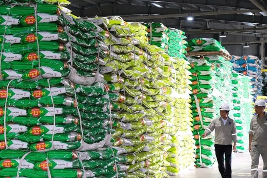 3 cổ phiếu ngành phân bón "lọt mắt xanh" ABS, có mã tiềm năng tăng tới 34%