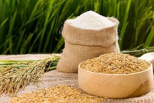 Giá lúa gạo hôm nay 15/5: Gạo IR 504 tăng giá, cám tăng vọt