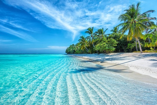 Phú Quốc – Nha Trang – Côn Đảo: Đi "đu đưa" ở đâu giữa ba cái tên hot nhất biển Việt?