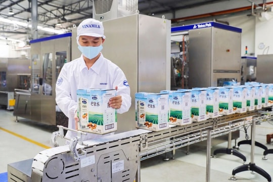Ông lớn ngành sữa tái sử dụng 85% nước thải chăn nuôi