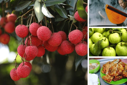 Hải Phòng sau sáp nhập sẽ có thêm sản phẩm "xuất ngoại" và nhiều thương hiệu nổi tiếng