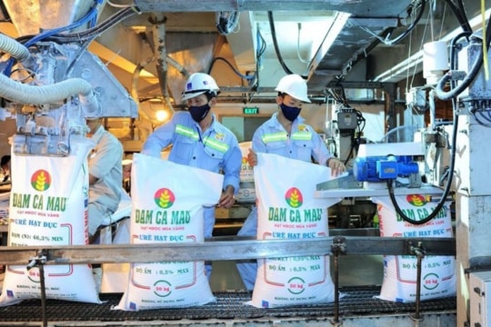 Hé lộ công nghệ đằng sau danh hiệu “Top 10% nhà máy tiêu hao năng lượng thấp nhất thế giới” của Đạm Cà Mau (DCM)