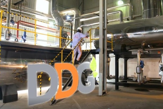 DDG chuyển từ lãi thành lỗ nặng sau kiểm toán, cổ phiếu vẫn khiến thị trường ngỡ ngàng