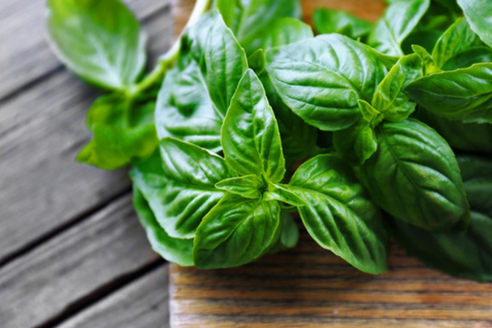 Loại rau chỉ vài nghìn đồng nhưng lại là "thầy thuốc" khiến mọi cơn đau đều lùi bước