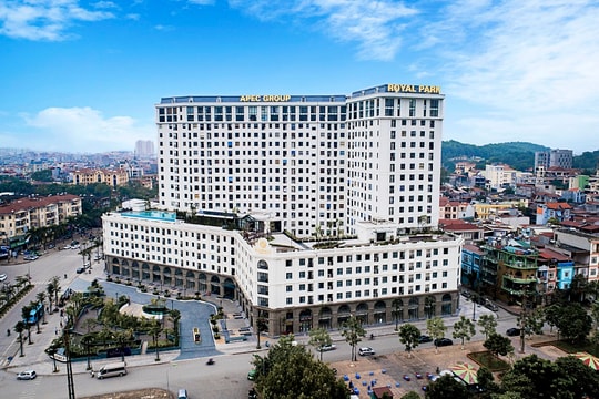 API chật vật gánh chuỗi công ty con không có doanh thu