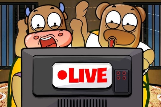 Động thái đáng chú ý từ công ty chứng khoán chủ Fanpage Bò & Gấu nổi tiếng khắp mạng xã hội