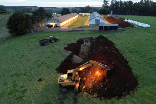 Nhà xuất khẩu thịt gà lớn nhất thế giới bùng phát dịch cúm gia cầm, Trung Quốc, Hàn Quốc, UAE lập tức hành động