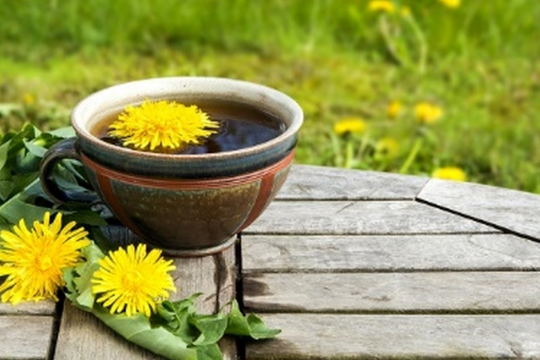 Lọai cây mọc dại ven đường Việt Nam , giờ thành "thần dược" phòng ung thư: Ra nước ngoài bán được tiền triệu mỗi cân