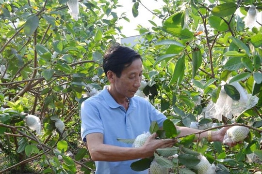 Hướng tới đổi mới, nông dân Bắc Ninh áp dụng mô hình "gì cũng nuôi", doanh thu bình thường mỗi năm cả tỷ đồng