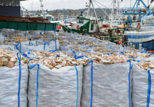 Mỹ tăng mạnh tích trữ một mặt hàng từ Trung Quốc kể từ đầu năm: Hơn 80 nghìn tấn đã được ‘chốt đơn’, là mặt hàng Việt Nam đứng thứ 3 thế giới