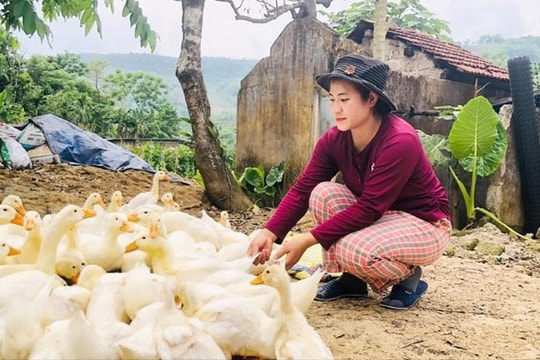 Bứt phá khỏi hộ nghèo, nông dân Huế nuôi thứ "tắm suối" theo cách khác lạ mà thu về cả trăm triệu mỗi năm