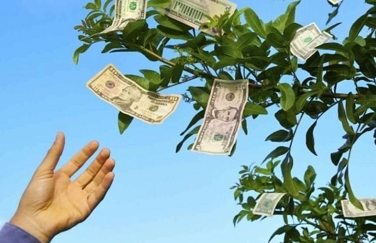 Mùa cao điểm chia cổ tức, có doanh nghiệp trả tiền mặt tới 84%