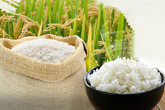 Giá lúa gạo hôm nay 20/5: Gạo nguyên liệu giảm nhẹ, cám và tấm bật tăng mạnh