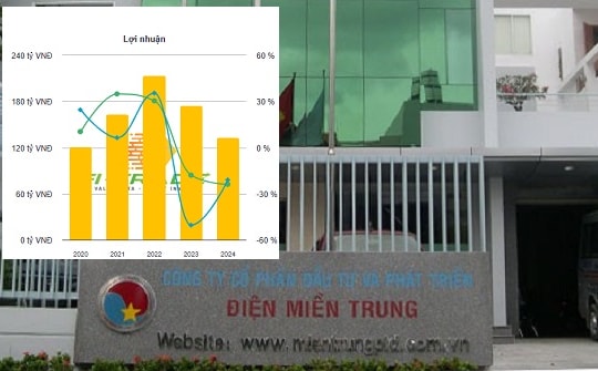 Những con gà đẻ trứng vàng của EVNCPC: (Bài 4) SEB dồn dập chia tiền, cổ đông 'mỏi tay' nhận cổ tức