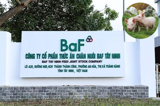 BAF tăng trưởng ấn tượng với lợi nhuận gấp 10 lần - nhờ đâu vừa “xanh” vừa có lãi?