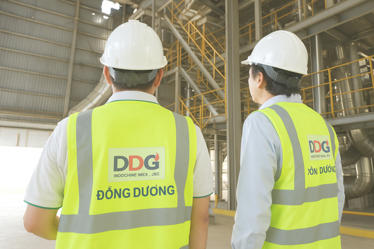 DDG gấp rút đàm phán giãn nợ sau cảnh báo thanh khoản từ kiểm toán