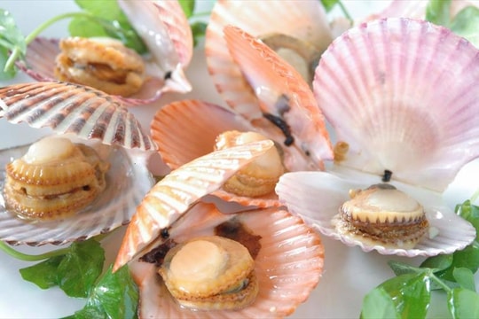 Thứ có vỏ vùi mình dưới cát đang giúp nông dân miền Tây "đổi đời", quý đầu năm thu về hơn nghìn tỷ