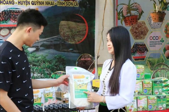 Sau 8 năm đổi mới, nông dân Sơn La sống khỏe nhờ mô hình “vừa nuôi vừa chạy tàu”, thu về tay nửa tỷ mỗi năm