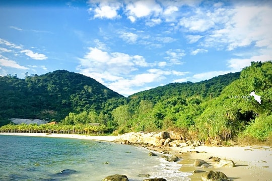 Một bãi biển bị đại dương “giữ riêng” ở Cù Lao Chàm: Nước xanh như ngọc nhưng không ai dám tắm