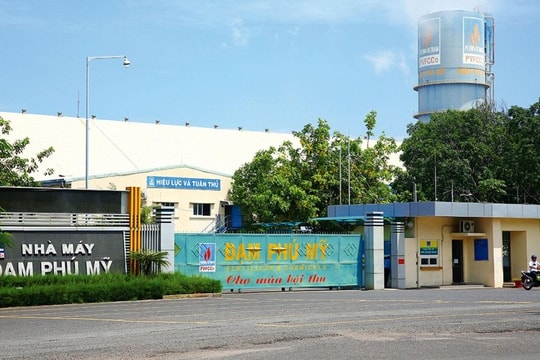 Sau gần một thập kỷ, Đạm Phú Mỹ (DPM) quay lại với lĩnh vực từng khiến họ phải rút lui