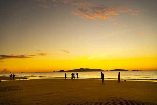 Bãi biển “chữa lành” giữa lòng xứ Thanh: Cát vàng như nắng, biển trong như gương và đẹp đến nao lòng