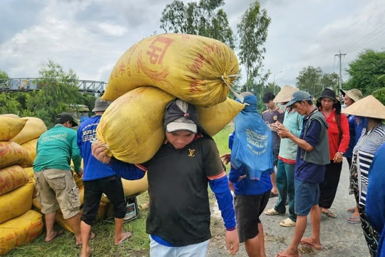 Các doanh nghiệp xuất khẩu "hạt ngọc trời", tạo ra sinh kế cho hàng chục triệu nông dân bất ngờ gặp khó quý đầu năm
