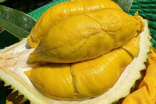 Giá sầu riêng hôm nay 24/5: Đi ngang, Indonesia âm thầm gia nhập cuộc đua tỷ đô