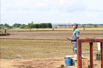 Trở về quê hương, nông dân Vũng Tàu "lái máy bay" để làm giàu, thu nhập tăng cao ngất ngưởng