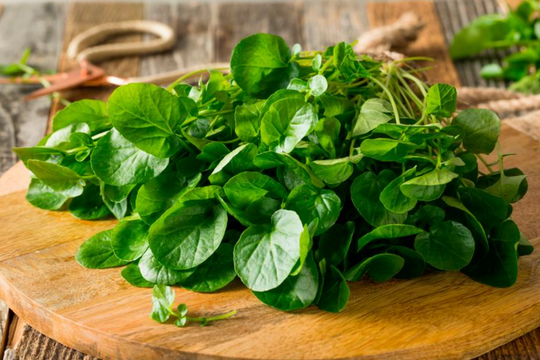 Loại rau ăn vừa mát, vừa tốt cho tim mạch, lại phòng ung thư rất hiệu quả