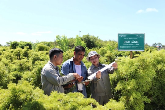 Doanh nghiệp đứng sau loạt sản phẩm thuốc bổ "quốc dân" lấn sân sang mảng logistics