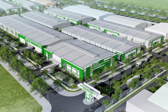 Một doanh nghiệp niêm yết có tiếng ở Long An đều đặn mỗi năm lãi hàng trăm tỷ