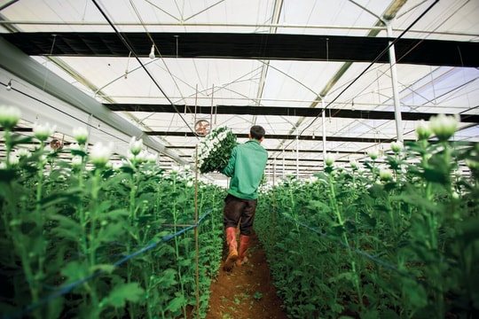 Lãi lớn nhưng vay cũng nhiều, doanh nghiệp này dần trở thành hạt nhân trong hệ sinh thái PAN Group