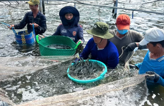 Một "mỏ vàng" vừa mang về cho Việt Nam 1,3 tỷ USD: Mỹ - Trung Quốc liên tục ‘chốt đơn’, nước ta là ‘ông trùm’ lớn thứ 2 toàn cầu