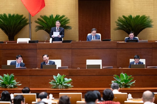 Đại biểu Quốc hội đề nghị giữ nguyên khoản thu tiền sử dụng đất