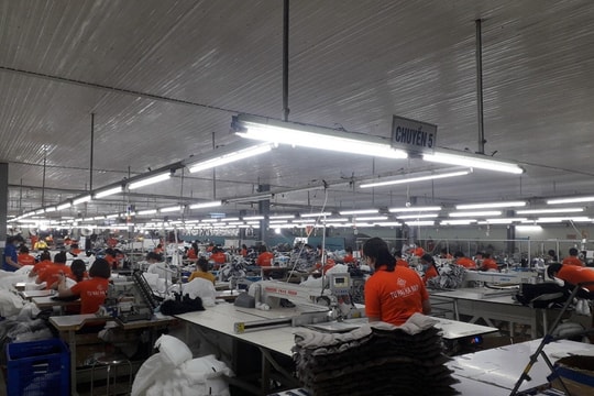 Nhân sự tăng mạnh sau khi lên sàn, một doanh nghiệp tại Hà Nam ghi nhận những chuyển động trái chiều