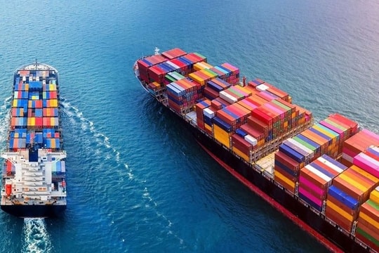 Giải mã pha tăng giá đột ngột của cổ phiếu vận tải biển phiên hôm nay